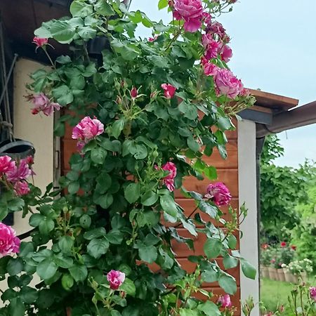 Colle Perazzoni Apartment Fiano Romano Ngoại thất bức ảnh
