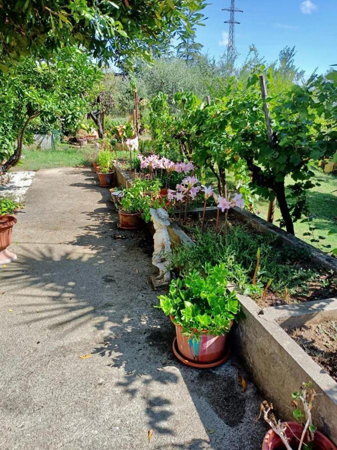 Colle Perazzoni Apartment Fiano Romano Ngoại thất bức ảnh