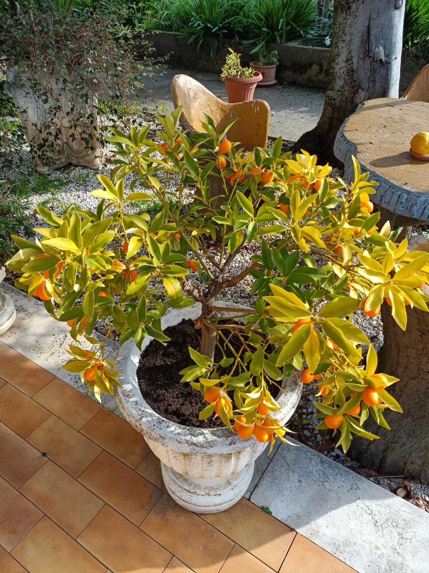 Colle Perazzoni Apartment Fiano Romano Ngoại thất bức ảnh