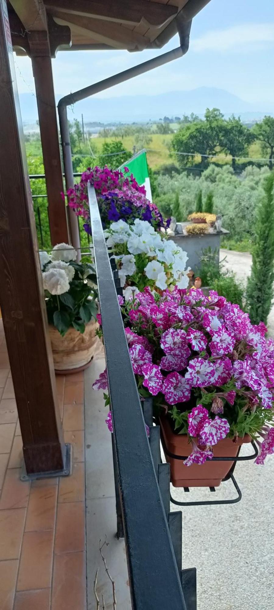Colle Perazzoni Apartment Fiano Romano Ngoại thất bức ảnh
